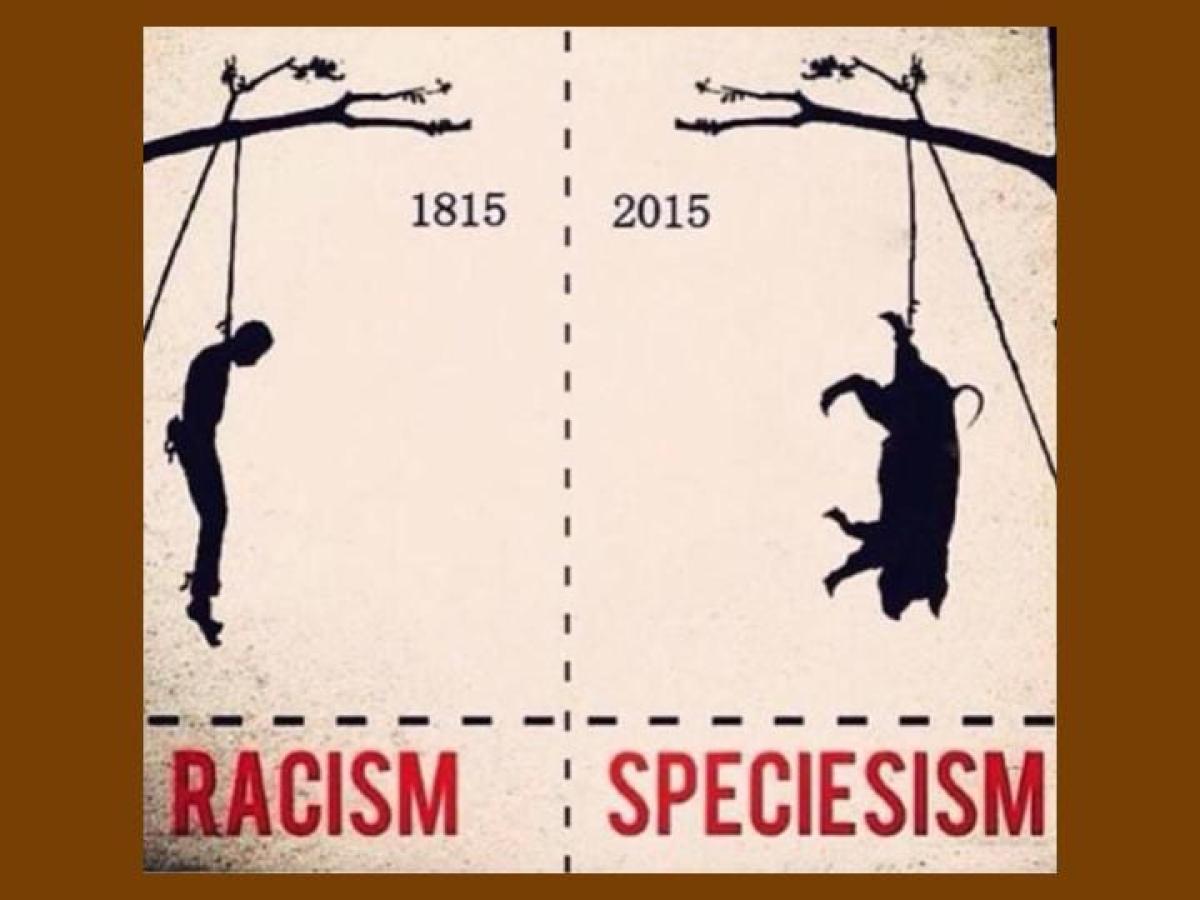 When Vegans Appropriate Atrocity