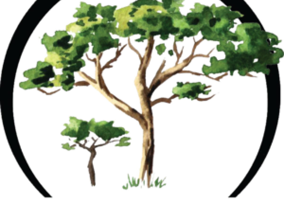 The Tamir Rice Foundation